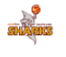 Southern Sharks