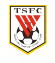 Shandong Taishan Team B
