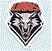 New Mexico United